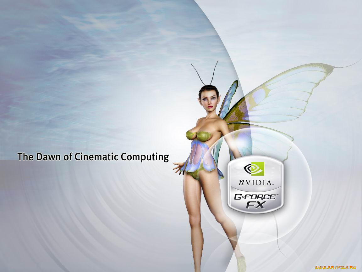 , nvidia